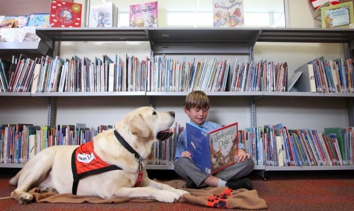 Một gợi ý thú vị cho bố mẹ muốn giúp con tự tin đọc trôi chảy